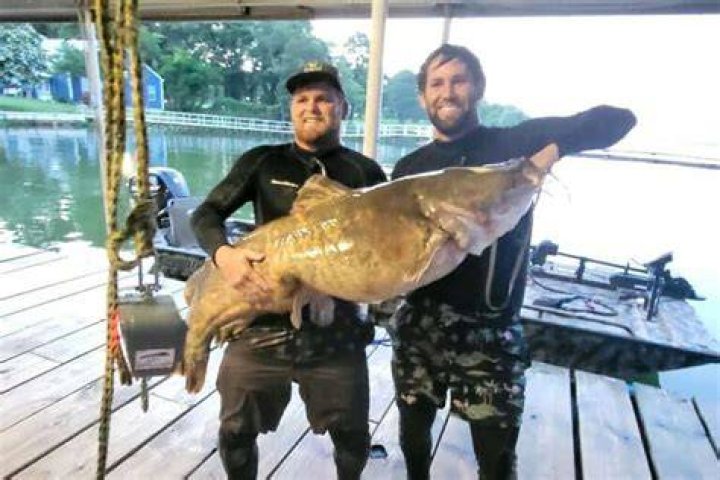 Is catfish noodling legal in Oklahoma?
