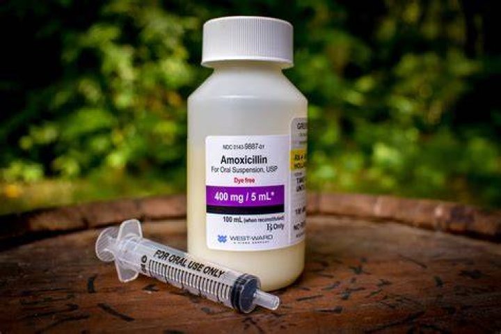 Is cefuroxime like amoxicillin?