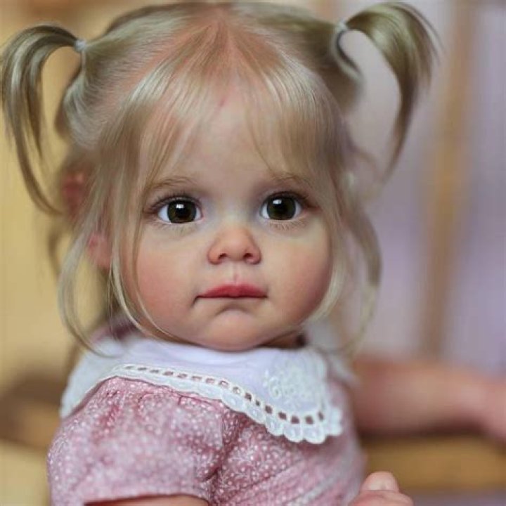 Is Dollish reborn legit?