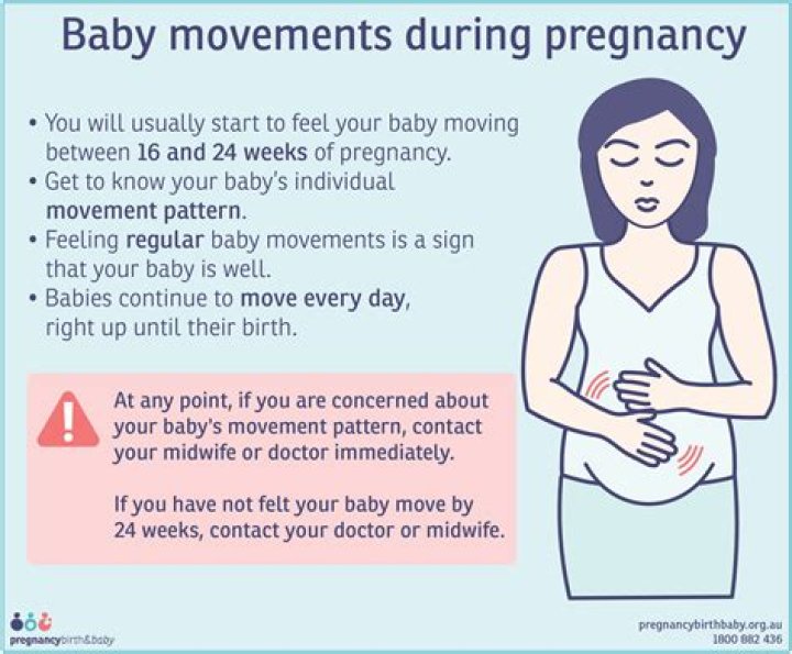 Is fetal movement consistent at 23 weeks?