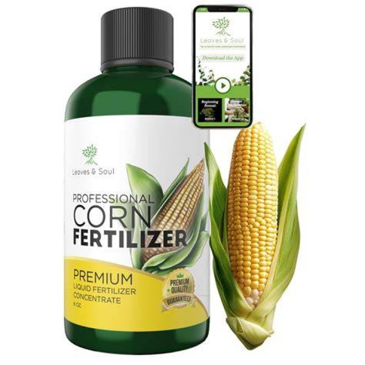 Is kelp meal a good fertilizer?
