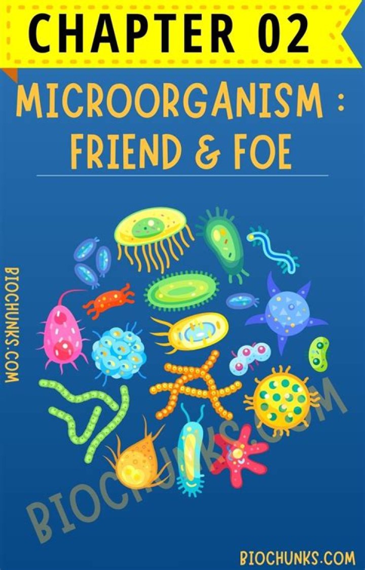 Is microorganisms friend or foe?