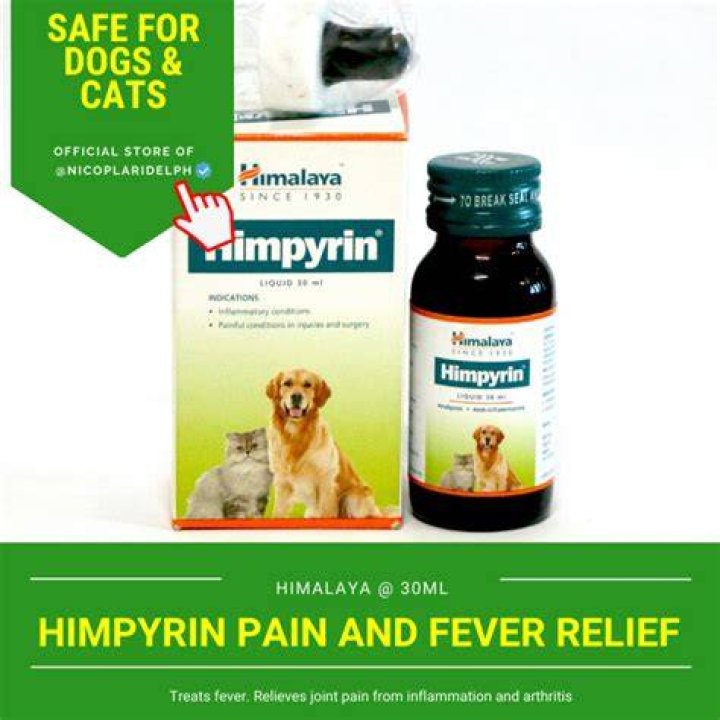Is paracetamol safe for dogs with fever?