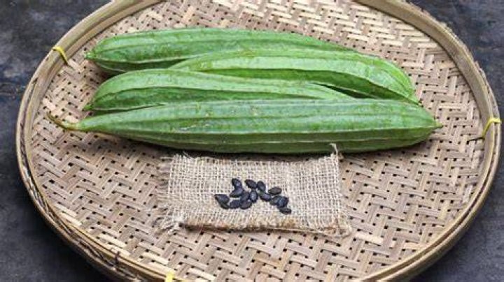 Is Peerkangai good for health?