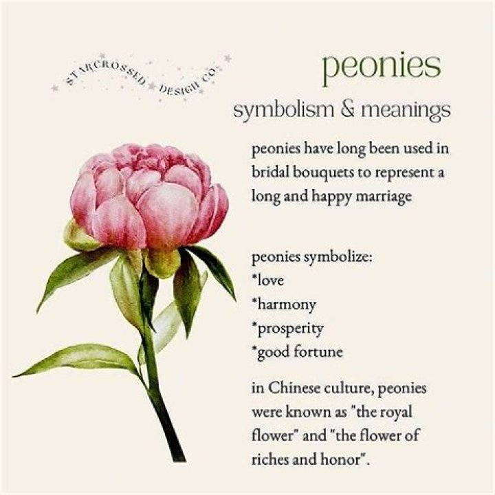 Is peony in the dictionary?