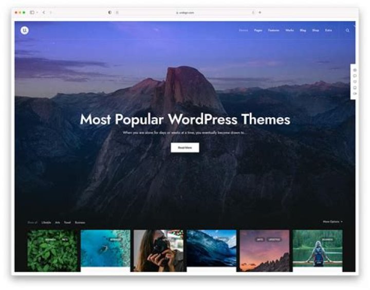 Is Plesk good for WordPress?