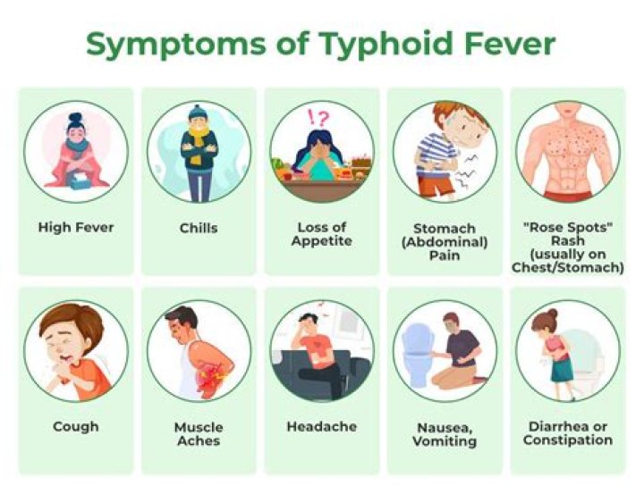 Is taxim of used for typhoid fever?