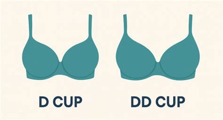 Is there a big difference between C and D cup?