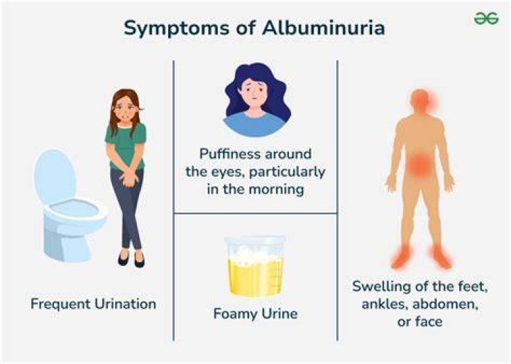 Is there a role for albuminuria in clinical practice?