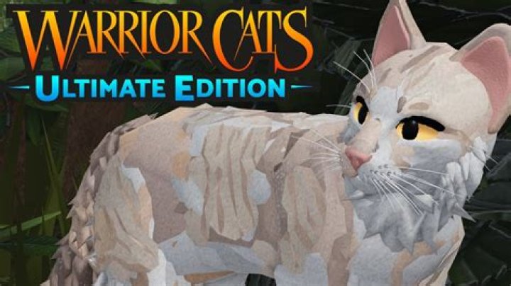 Is there a warrior cats game?