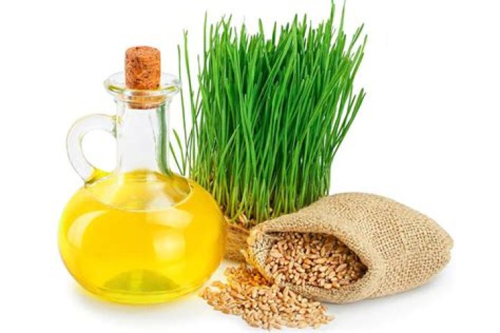 Is Triticum vulgare wheat germ oil comedogenic?