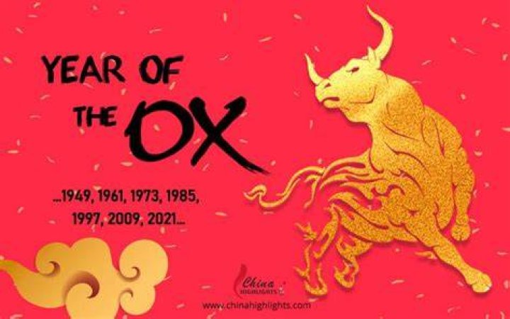 Was 1985 the Year of the Ox?