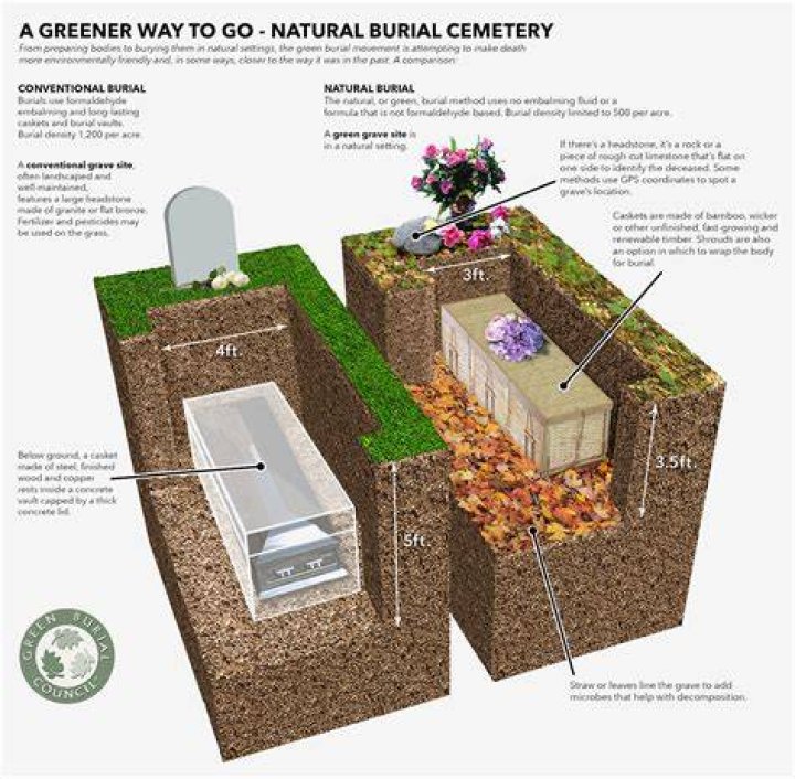 Was Colonel Shaw buried in a mass grave?