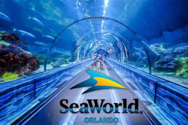 What Animals Can you see at Sea World Orlando?