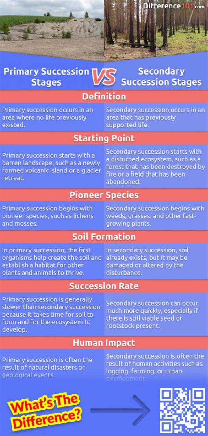 What are 3 differences between primary succession and secondary succession?