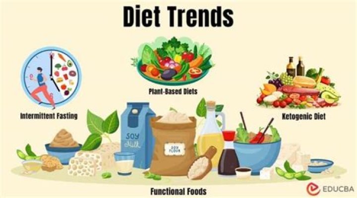 What are 3 popular diets?