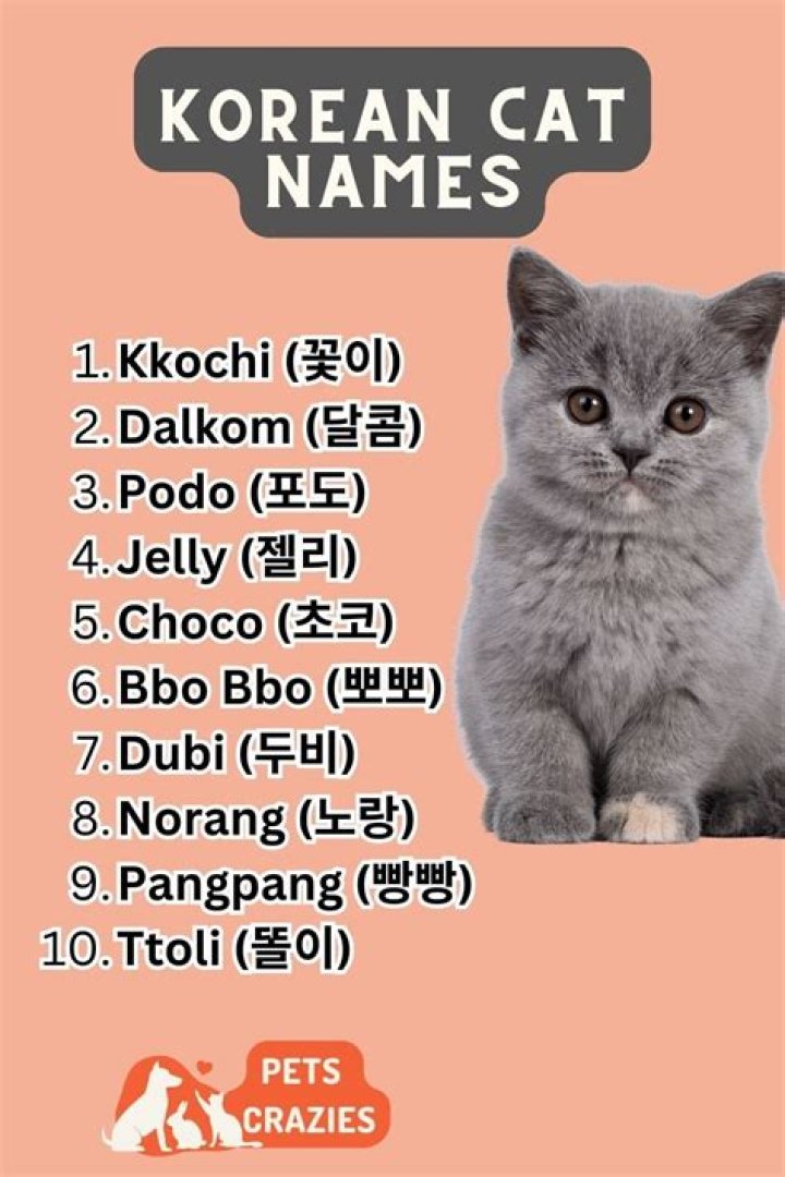 What are cute pet names in Korean?