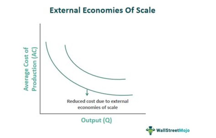 What are examples of external diseconomies of scale?