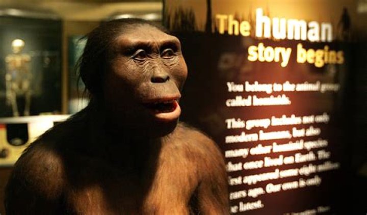 What are half humans called?