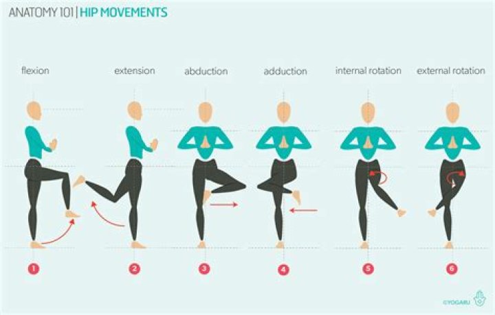 What are movements of mandible?