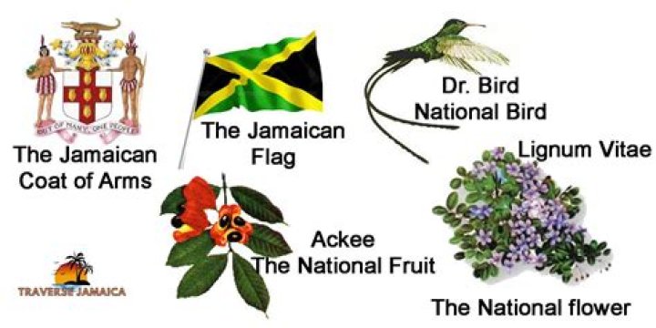 What are national symbols of Jamaica?