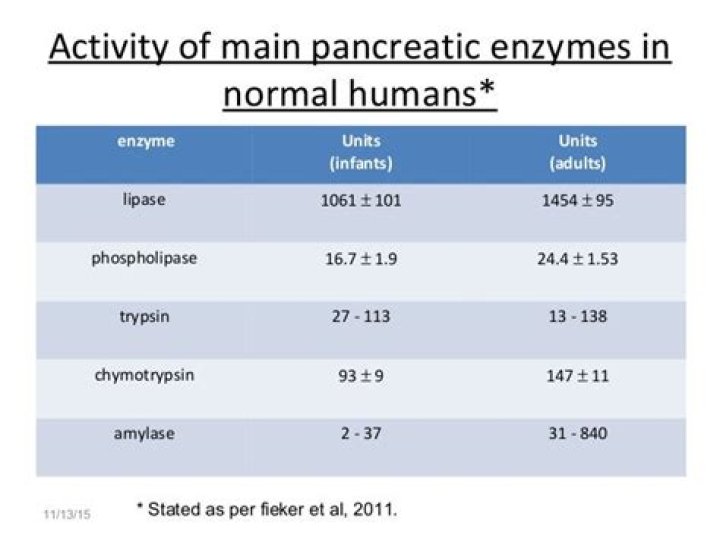 What are normal pancreatic enzyme levels?