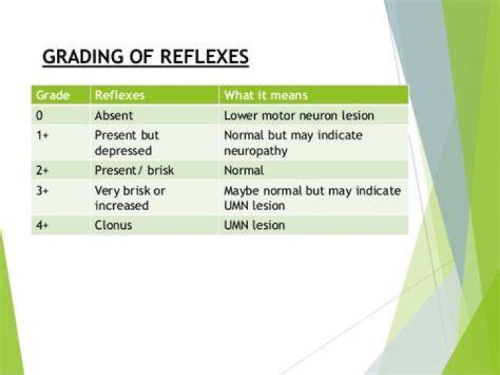 What are normal reflex scores?