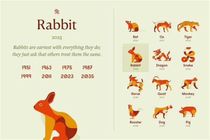What are rabbit traits?