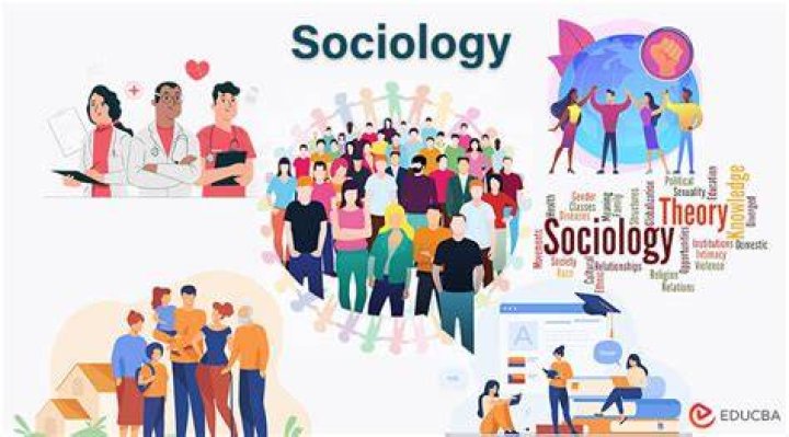 What are social themes in sociology?