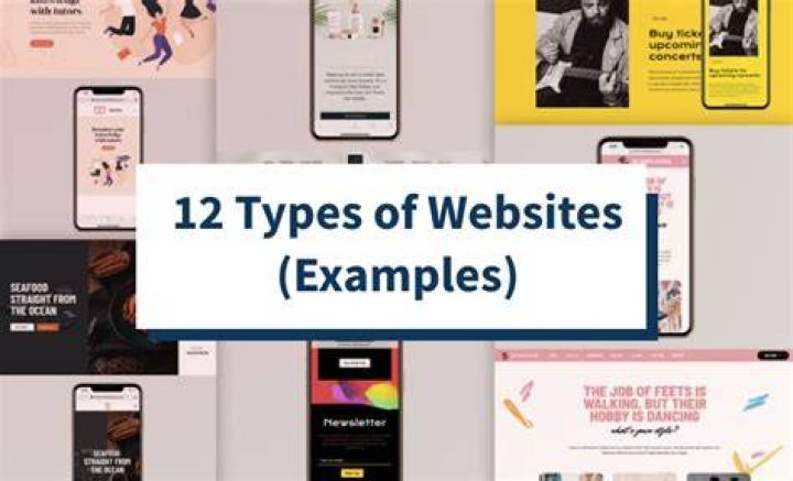 What are the 12 types of websites?