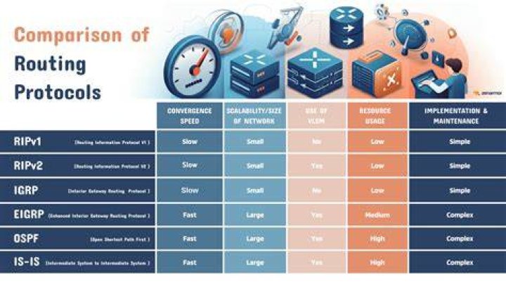 What are the 2 routing protocols?