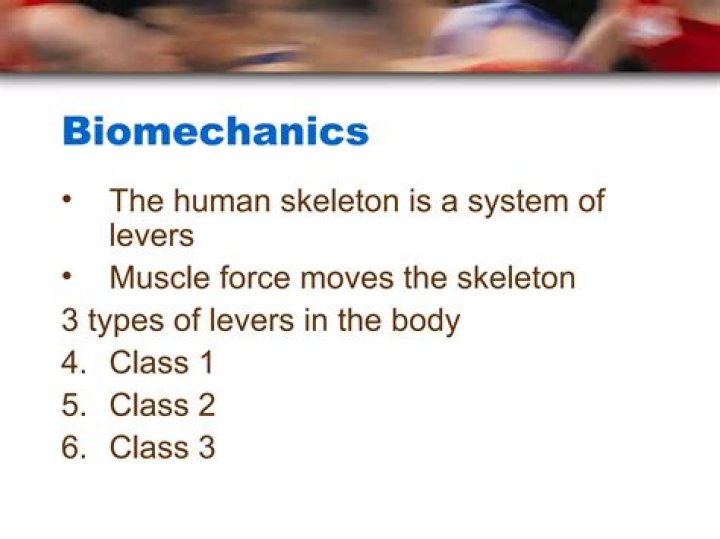 What are the 3 principles of biomechanics?
