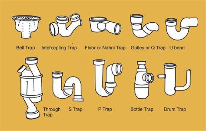 What are the 4 types of traps?
