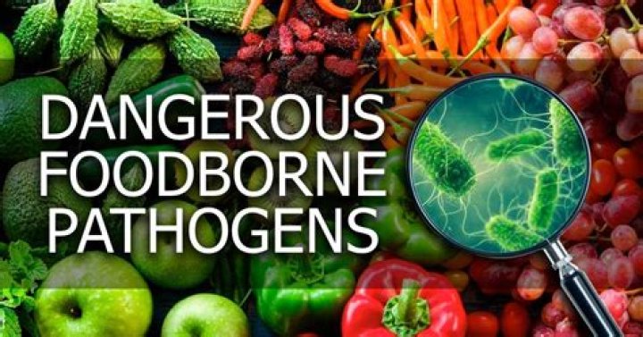 What are the big 6 food borne pathogens?