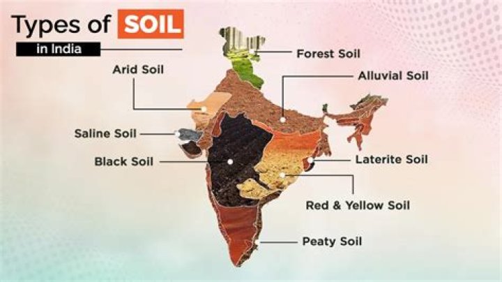 What are the characteristics of Indian soil?