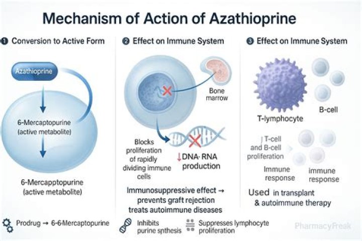 What are the drug drug interactions for azathioprine?