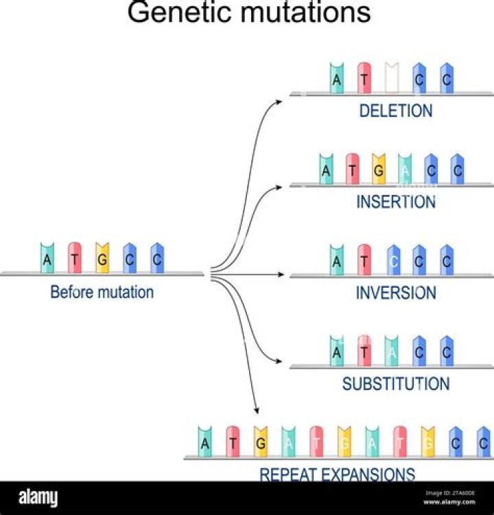What are the mechanisms of gene duplication?