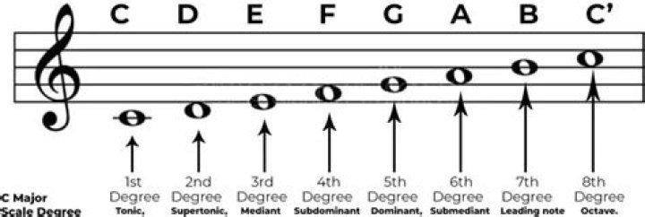 What are the names of the 7 scale degrees?