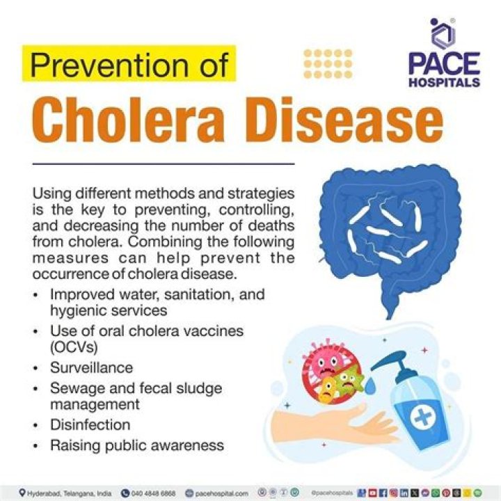 What are the prevention and control of cholera?