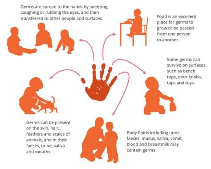 What are three common infections that are commonly spread by poor hand hygiene?