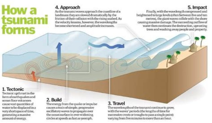 What are tsunamis essay?