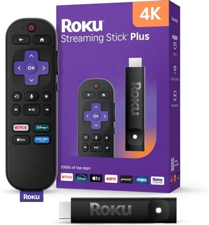 What can I use instead of Roku?