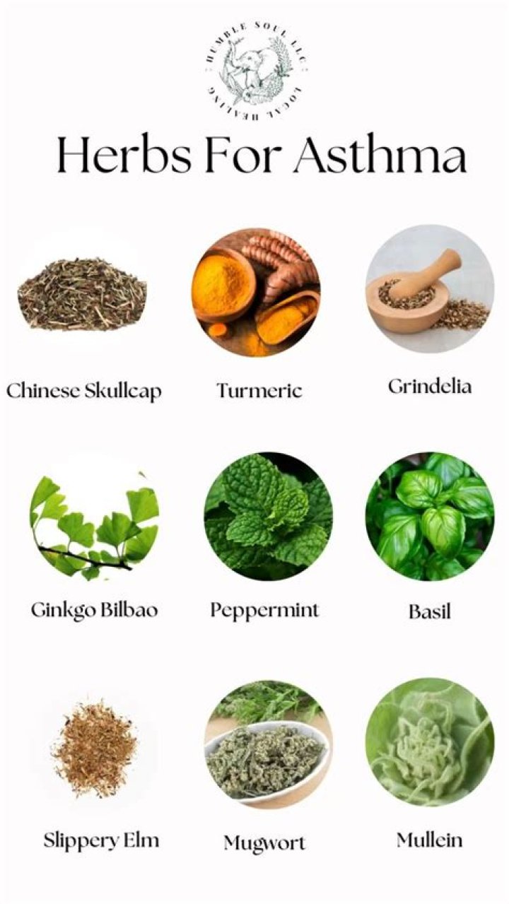 What Chinese herb is good for asthma?