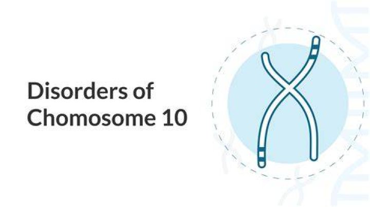 What chromosome is responsible for diabetes?