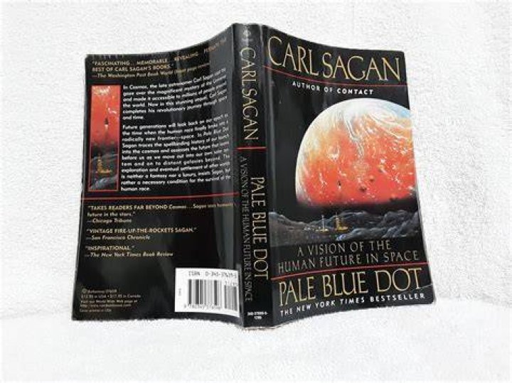 What did Carl Sagan say about Pale Blue Dot?