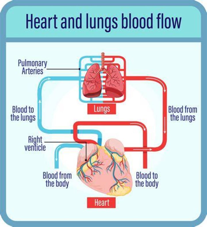 What does as stand for in heart?