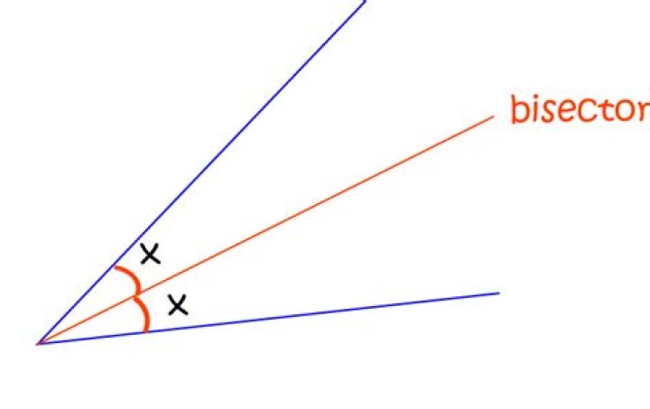 What does bisects mean in geometry?