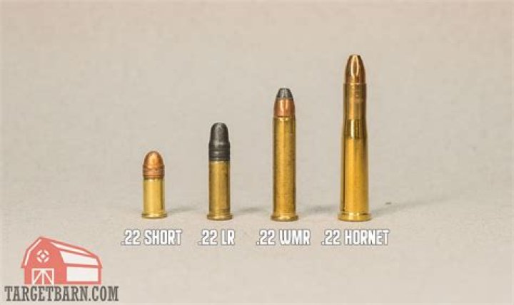What does CB stand for in 22 ammo?