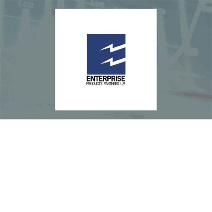 What does Enterprise Holdings Inc do?