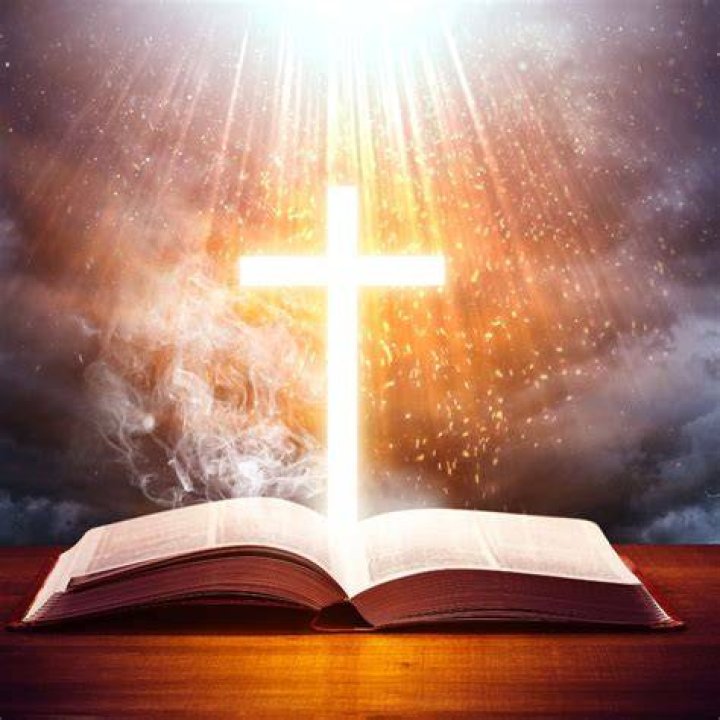 What does Intermeddleth mean in the Bible?